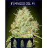 Feminized Col 1 · Advanced Seeds · cannabis seeds · Fem