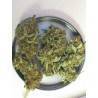 GANESH · Mandala Seeds · sementesde maconha · Reg