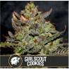 Girl Scout Cookies · Blimburn Seeds · graines de cannabis · Fem