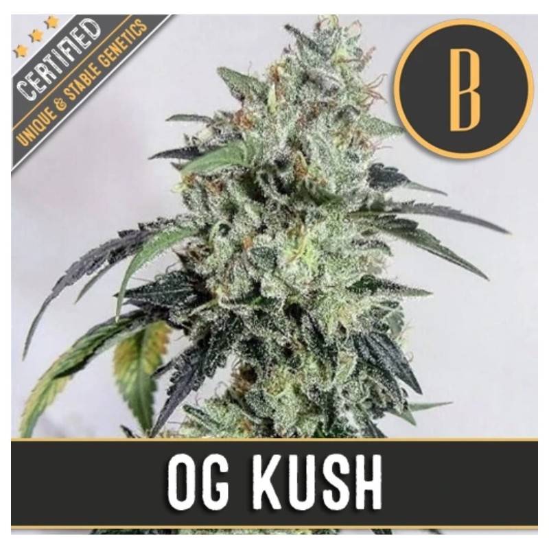 OG Kush