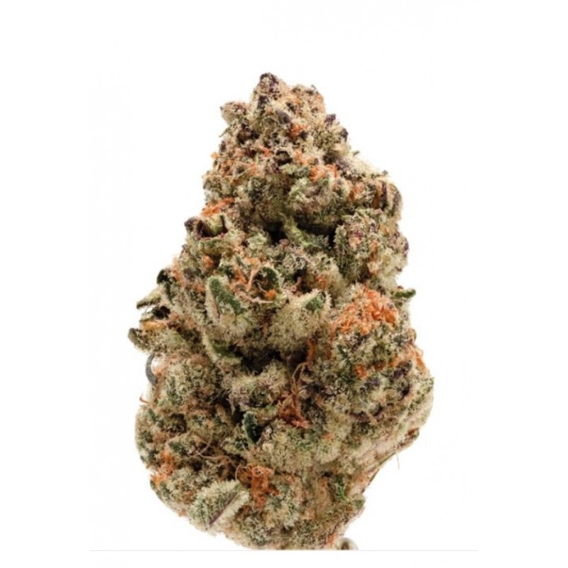 ZKITTLEZ · Dr Green Seeds · graines de cannabis en gros · Fem