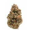 ZKITTLEZ · Dr Green Seeds · sementes de maconha a granel · Fem