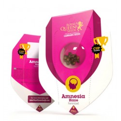 AMNESIA HAZE · Royal Queen Seeds · kenevir tohum · · Disi · Fem