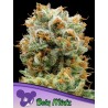 BOLA MINTZ · Anesia Seeds · sementes de maconha · Fem