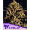 CHIMERA CUT · Anesia Seeds · cannabis seeds · Fem