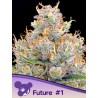 FUTURE 1 · Anesia Seeds · cannabis seeds · Fem