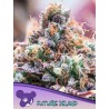 FUTURE ISLAND · Anesia Seeds · kenevir tohum · Fem