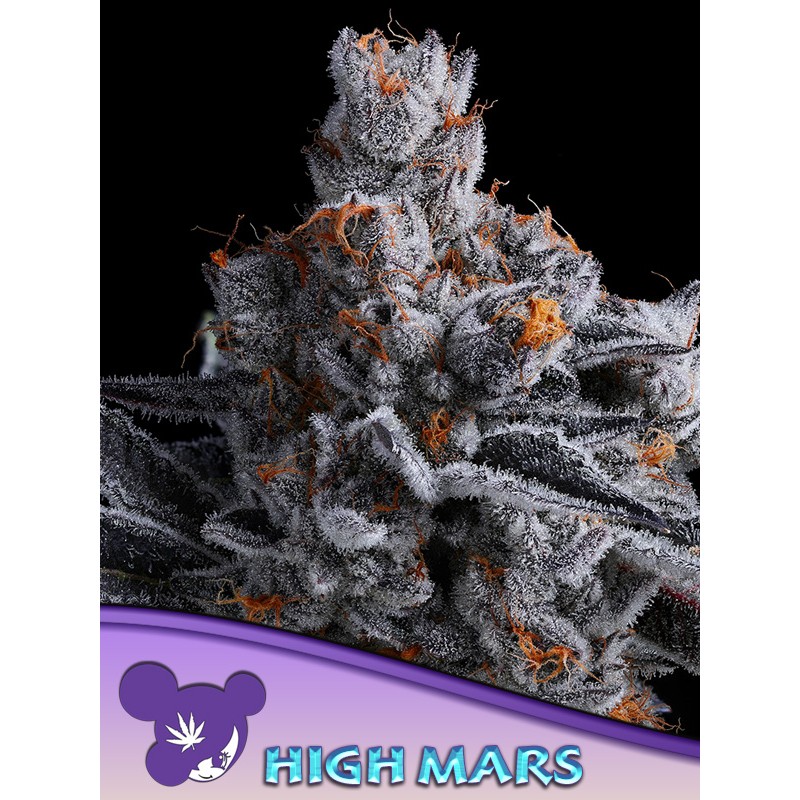 HIGH MARS · Anesia Seeds · kenevir tohum · Fem