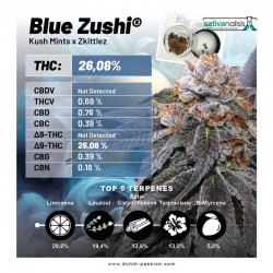 BLUE ZUSHI · Dutch Passion · sementes de maconha · Fem