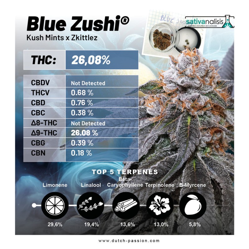 BLUE ZUSHI · Dutch Passion · graines de cannabis · Fem