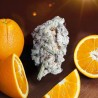 ORANGE BUD 2.0 · Dutch Passion · graines de cannabis · Fem