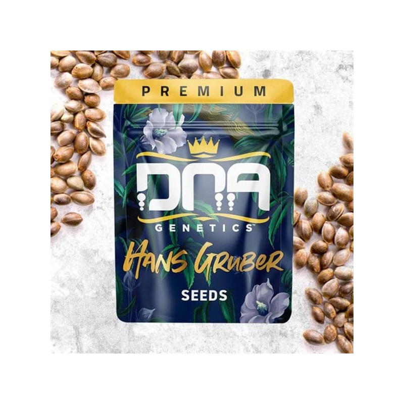 HANS GRUBER · DNA Genetics · cannabis seeds · Fem