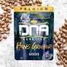 HANS GRUBER · DNA Genetics · kaufen cannabis samen · Fem