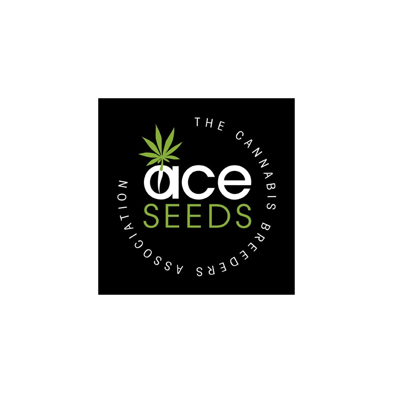 CBD 1 X MALAWI · Ace Seeds · graines de cannabis  · Fem