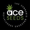 CBD 1 X MALAWI · Ace Seeds · graines de cannabis  · Fem