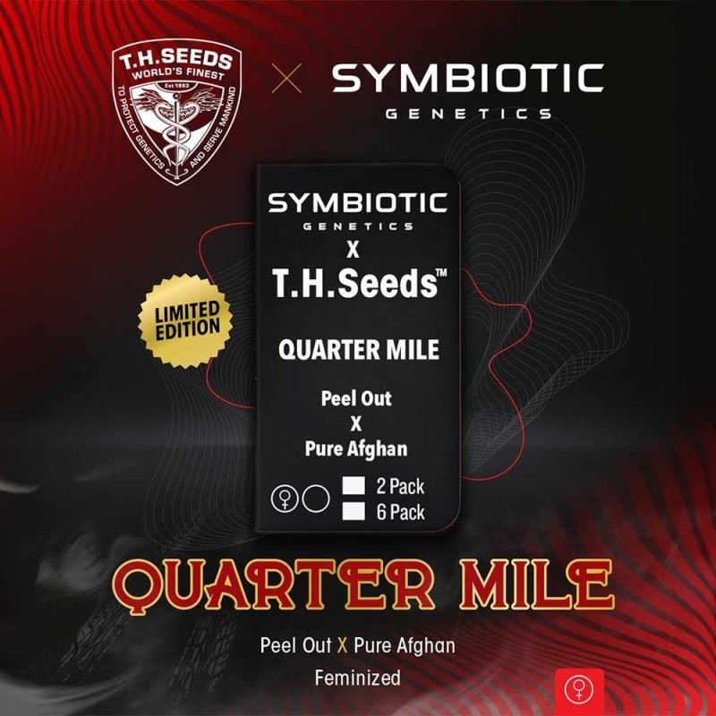 QUARTER MILE · TH Seeds · graines de cannabis · Fem
