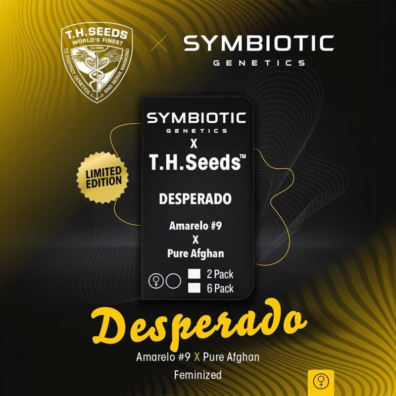 DESPERADO · TH Seeds · cannabis samen · Fem