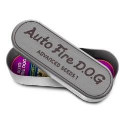 Auto Fire DOG · Advanced Seeds · graines de cannabis · AutoFem