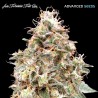 Auto Forbidden Fruit · Advanced Seeds · cannabis seeds · AutoFem