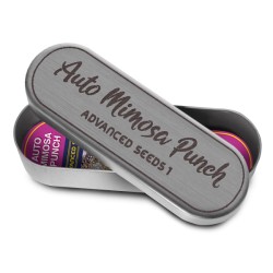 Auto Mimosa Punch · Advanced Seeds · kaufen · cannabis samen · AutoFem