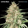Lemon Bean · Advanced Seeds · cannabis seeds · Fem