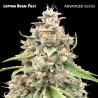 Lemon Bean Fast · Advanced Seeds · graines de cannabis · Fem