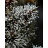 LEMON CHERRY GELATO · Barneys Farm · sementes de maconha · Fem