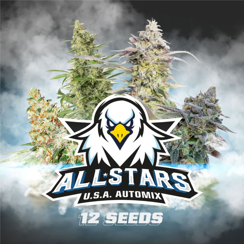 ALL STARS USA AUTOMIX · BSF Seeds · sementes de maconha · AutoFem