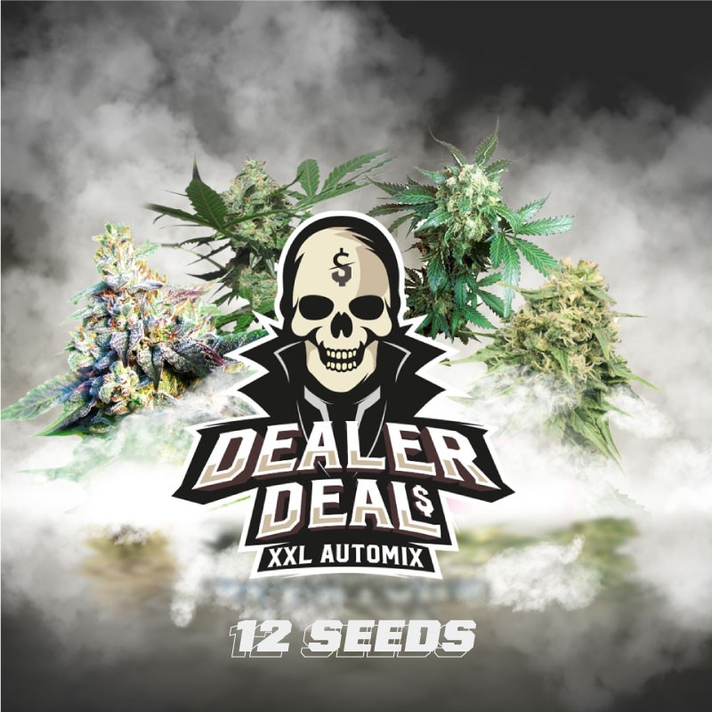 DEALER DEAL XXL AUTOMIX · BSF Seeds · graines de cannabis · AutoFem