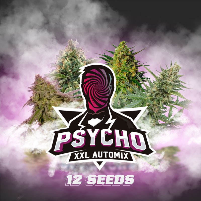 PSYCHO XXL AUTOMIX · BSF Seeds · graines de cannabis · AutoFem