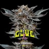 GORILLA GLUE 4 · BSF Seeds · kaufen cannabis samen · Fem
