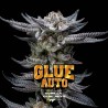 GORILLA GLUE AUTO · BSF Seeds · kaufen cannabis samen · AutoFem