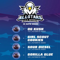 ALL STARS USA AUTOMIX · BSF Seeds · graines de cannabis · AutoFem