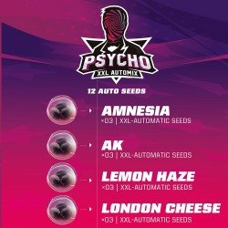 PSYCHO XXL AUTOMIX · BSF Seeds · graines de cannabis · AutoFem