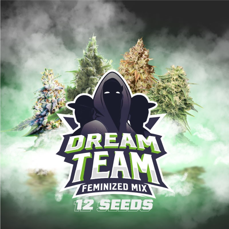 DREAM TEAM FEMINIZED MIX · BSF Seeds · cannabis samen · Fem