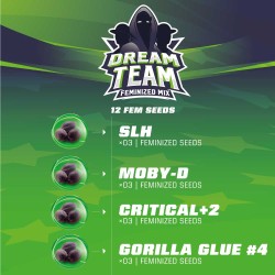 DREAM TEAM FEMINIZED MIX · BSF Seeds · graines de cannabis · Fem