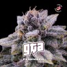 GTA · BSF Seeds · cannabis seeds · Fem
