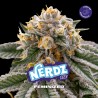 NERDZ · BSF Seeds · cannabis samen · Fem