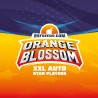 ORANGE BLOSSOM XXL AUTO · BSF Seeds · cannabis seeds · AutoFem