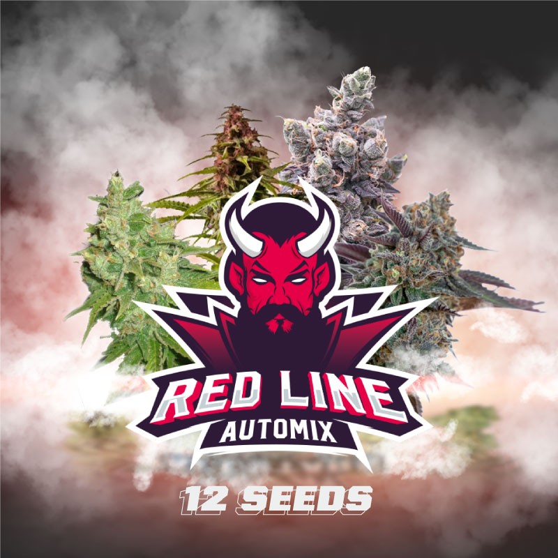 RED LINE AUTOMIX · BSF Seeds · kenevir tohum · AutoFem