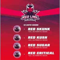 RED LINE AUTOMIX · BSF Seeds · cannabis seeds · AutoFem