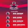 RED LINE AUTOMIX · BSF Seeds · cannabis seeds · AutoFem