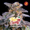 TROPICHERRY · BSF Seeds · cannabis samen · Fem