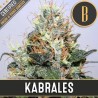 Kabrales · Blimburn Seeds · kaufen cannabis samen · Fem