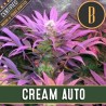 Cream Auto · Blimburn Seeds · sementes de maconha · AutoFem