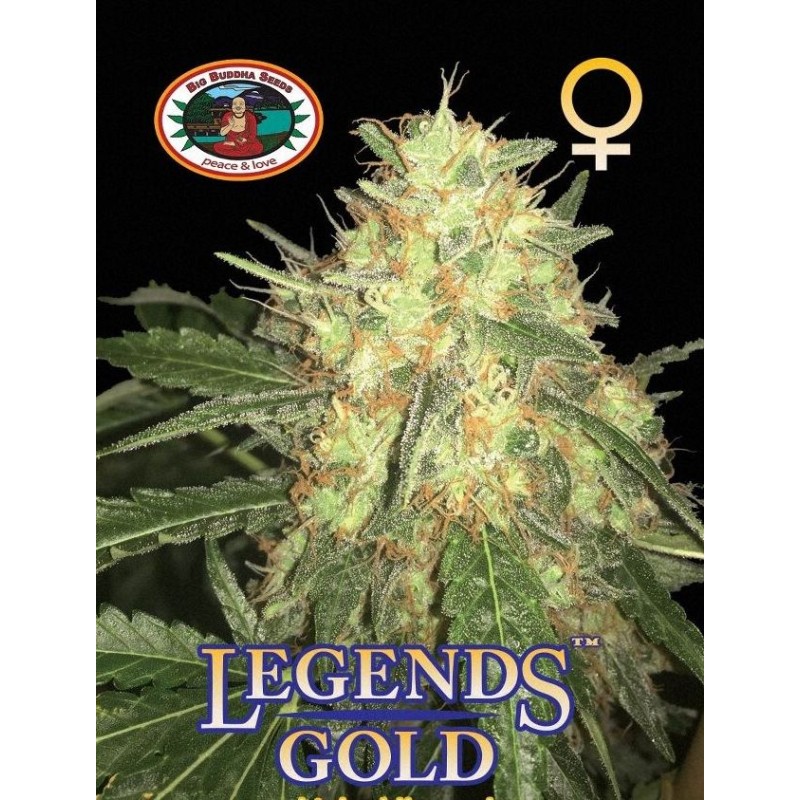 LEGENDS GOLD · Big Buddha Seeds · cannabis seeds  Fem