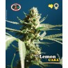 SCH LEMON CAKE · Big Buddha Seeds · sementes de maconha · Fem