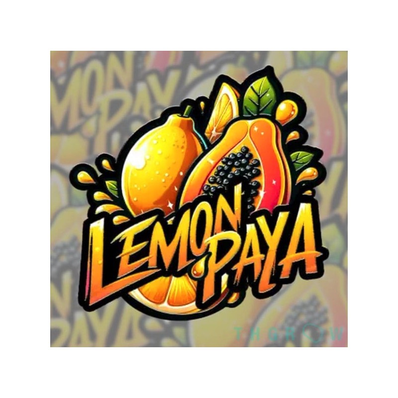 Lemonpaya · FastBuds Seeds · graines de cannabis · Fem