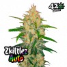 Zkittlez Auto – Fastbuds Autoflowering Samen
