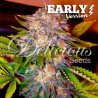 CARAMELO EARLY VERSION · Delicious · cannabis samen · Fem